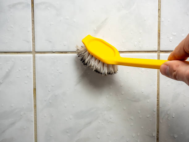 Best Mold Remediation  in Timberne, LA