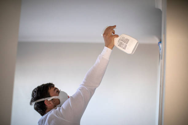 Best Best Mold Removal Companies  in Timberne, LA